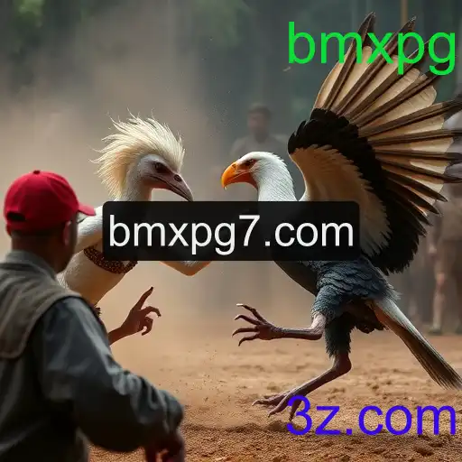 Jogos de sabong